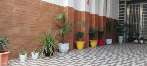 a bunch of potted plants are lined up against a wall at HOTEL AYODHYA PAYING GUEST in Ayodhya