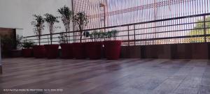 a row of red potted plants on a balcony at HOTEL AYODHYA PAYING GUEST in Ayodhya