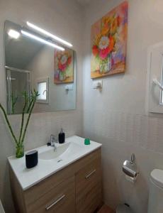 a bathroom with a sink and a mirror at Cabaña del olivo in Paredes de Buitrago