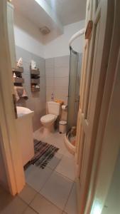 La salle de bains est pourvue de toilettes et d'une douche en verre. dans l'établissement Delphi View!, à Galaxidi