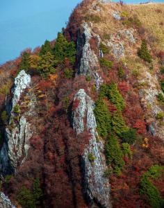 Une montagne avec des arbres colorés sur son côté dans l'établissement 山荘梶ヶ森, à Ōtakuchi