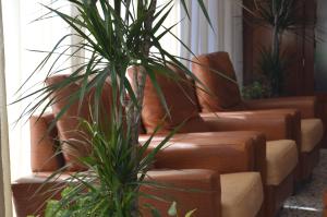 a row of brown leather couches in a room with plants at Hotel Sant Jordi in Tarragona