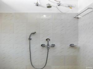 a shower with a hose in a bathroom at Hotel Elegant in Dimāpur