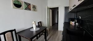 a dining room with a black table and chairs at Relax Home Apartment Q in Iaşi