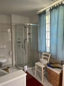 Vestignè的住宿－Casa Relax in Canavese，带淋浴、卫生间和椅子的浴室