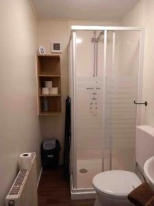 ein Bad mit einer Dusche und einem WC in der Unterkunft Lodge Damian op de Veluwe in Voorthuizen