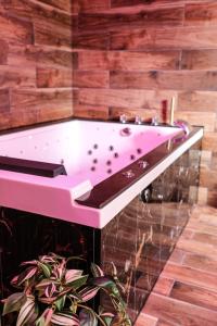 eine rosa Badewanne in einem Zimmer mit Pflanze in der Unterkunft Le Premium - Suite Spa Privatif in Pontavert