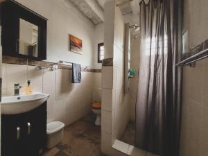 un bagno con lavandino, WC e doccia di HUIS ASEM a Marloth Park Altre 8 foto