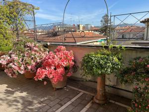 フィレンツェにあるCherubini Florence Residenceの鉢植えの花群
