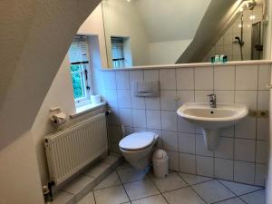 een badkamer met een toilet en een wastafel bij Green Eilun - Hausteil 5 in Wyk auf Föhr