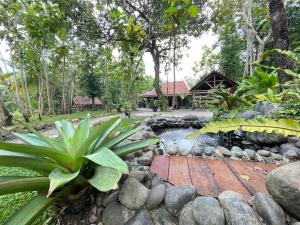 a garden with a pond in front of a house at Omah Ndoro Sugih in Serut