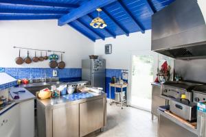 a large kitchen with stainless steel appliances and blue ceilings at Coquette chambre personnalisée chez l habitant in Saint-André-de-Seignanx