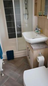 ein Badezimmer mit einem weißen Waschbecken und einem WC in der Unterkunft Hot Tub Lodge in the Cotswolds - Pet Friendly in South Cerney