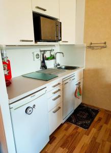 a small kitchen with a sink and a microwave at Ferienwohnung Wallner Rosi in Sankt Englmar