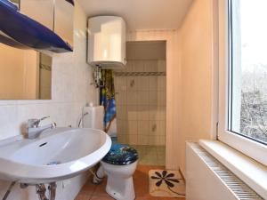 ein Bad mit einem Waschbecken und einem WC in der Unterkunft Cozy apartment in Boltenhagen Germany near the beach in Boltenhagen
