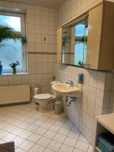 La salle de bains est pourvue d'un lavabo, de toilettes et d'un miroir. dans l'établissement Ferienwohnung im Zentrum Zwickaus, à Zwickau