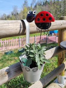 Ogród w obiekcie Ospitalità Agricola di Langa Alloggio Mansardato Vacanze
