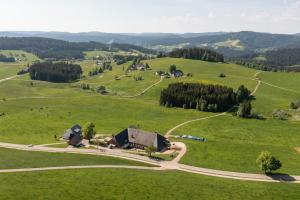 ein Haus auf einem grünen Hügel mit einer kurvenreichen Straße in der Unterkunft Haldenmichelhof Ferienwohnungen in Breitnau