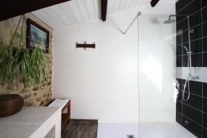 ein Bad mit einer Dusche und einer Glastür in der Unterkunft Ancienne maison en pierre au coeur du village in Usclas-lʼHérault