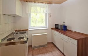 a small kitchen with a sink and a microwave at Beautiful Apartment In Torgelow With Wifi in Torgelow