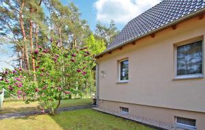a house with a tree with pink flowers next to it at Beautiful Apartment In Torgelow With Wifi in Torgelow