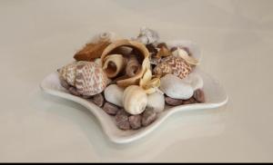 um prato de conchas e rochas numa superfície branca em B&B I 3 Mori em Barcellona-Pozzo di Gotto