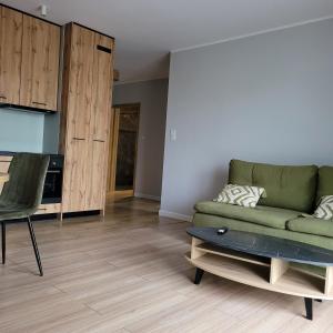 een woonkamer met een groene bank en een tafel bij NATURA apartament in Malbork