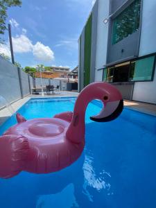 a pink plastic swan in a swimming pool at LYL Jaccuzi Private Pool House in Ipoh