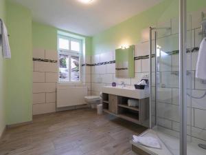 een badkamer met een douche, een wastafel en een toilet bij Apartment Remise Wernigerode in Wernigerode