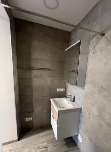 a bathroom with a sink and a mirror at Haus am Feistritz See in Feistritz ob Bleiburg