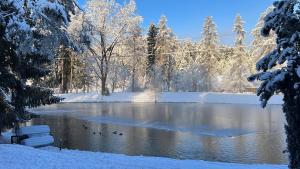 a river with ducks swimming in the snow at Haus am Feistritz See in Feistritz ob Bleiburg