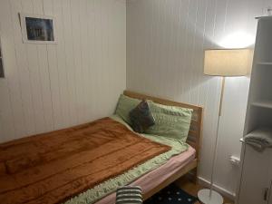 Postelja oz. postelje v sobi nastanitve Mini cabin in Zone 2