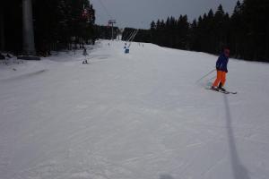 un grupo de personas esquiando por una pista cubierta de nieve en Ferienresidenz-an-der-Bode-Wohnung-2, en Braunlage