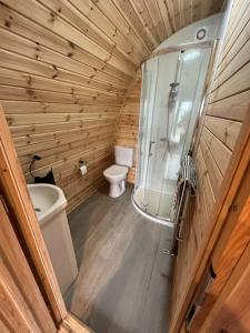 a small bathroom with a toilet and a shower at The Pod Patch - Trelerney Pod in Bishops Castle