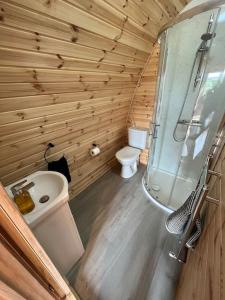 a wooden bathroom with a toilet and a sink at The Pod Patch - Trelerney Pod in Bishops Castle