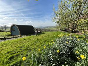 a tent in the middle of a field with flowers at The Pod Patch - Trelerney Pod in Bishops Castle