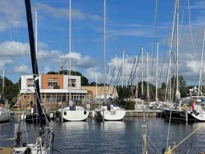 a group of boats docked in a marina at Minicamping Marina Warns in Molkwerum +1 photo