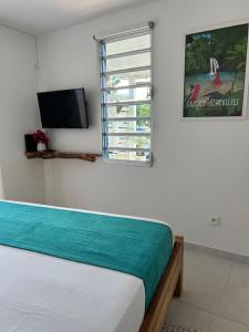 a bedroom with a bed and a window and a television at Gite Ti Bali in Deshaies