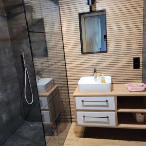 a bathroom with a sink and a shower at NATURA apartament in Malbork