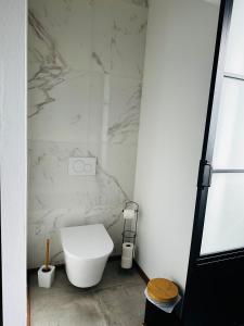 a white toilet in a bathroom with marble walls at ANINA in Meckenheim