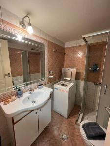 La salle de bains est pourvue d'un lavabo, d'un lave-linge et d'un sèche-linge. dans l'établissement Rustic House in the country, à Kritsa