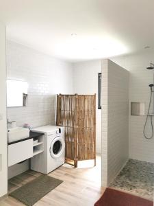 a bathroom with a washing machine and a sink at Appartement Jardin et Piscine Les anges du maquis location Corse-du-Sud in Conca