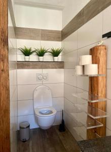 a bathroom with a toilet with plants on the wall at Landliebe in Vorchdorf