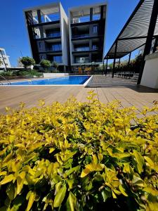 Une bande de plantes jaunes devant un bâtiment dans l'établissement Heritage Paphos, luxury duplex apartment with private pool, à Paphos