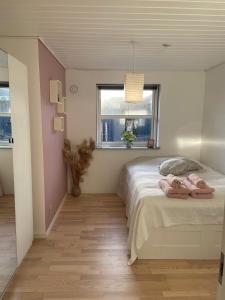 Schlafzimmer mit einem Bett mit rosa Wänden und einem Fenster in der Unterkunft Værelser i Fynshav in Augustenborg