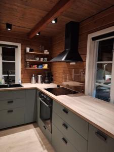 een keuken met een wastafel en een fornuis top oven bij Mini Lyngen in Jægervatnet