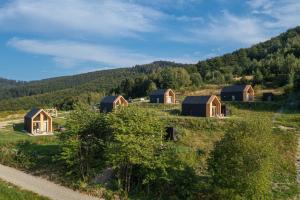un gruppo di case in un campo con una montagna di Domy wypoczynkowe w Beskidach - Odpoczywaj w Naturze a Laskowa