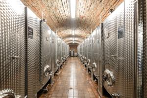 Fotografie z fotogalerie ubytování Terra Wylak Winery v destinaci Veľké Zálužie