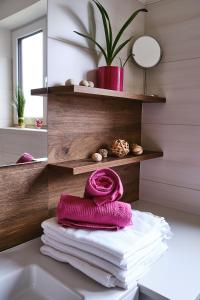 Fotografie z fotogalerie ubytování Appartements Das Charlie v destinaci Ebensee