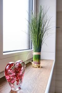 Fotografie z fotogalerie ubytování Appartements Das Charlie v destinaci Ebensee